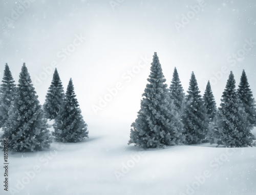 Christmas winter scene - Pine trees and falling snow 