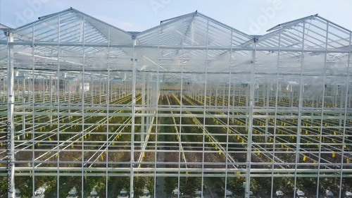 Wallpaper Mural Aerial video of greenhouses Torontodigital.ca