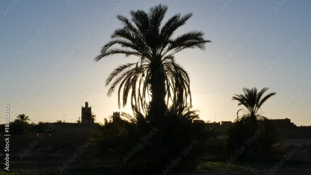 Silhouette palm trees and old village in the desert of Morocco Silhouette palm trees and old village in the desert of Morocco