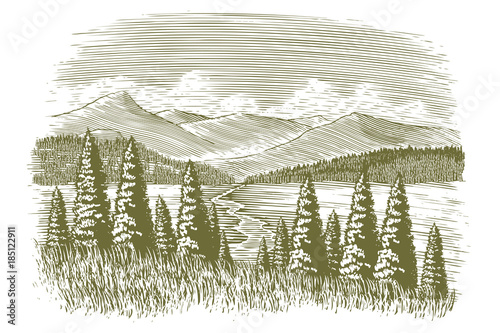 Woodcut Vintage Wilderness