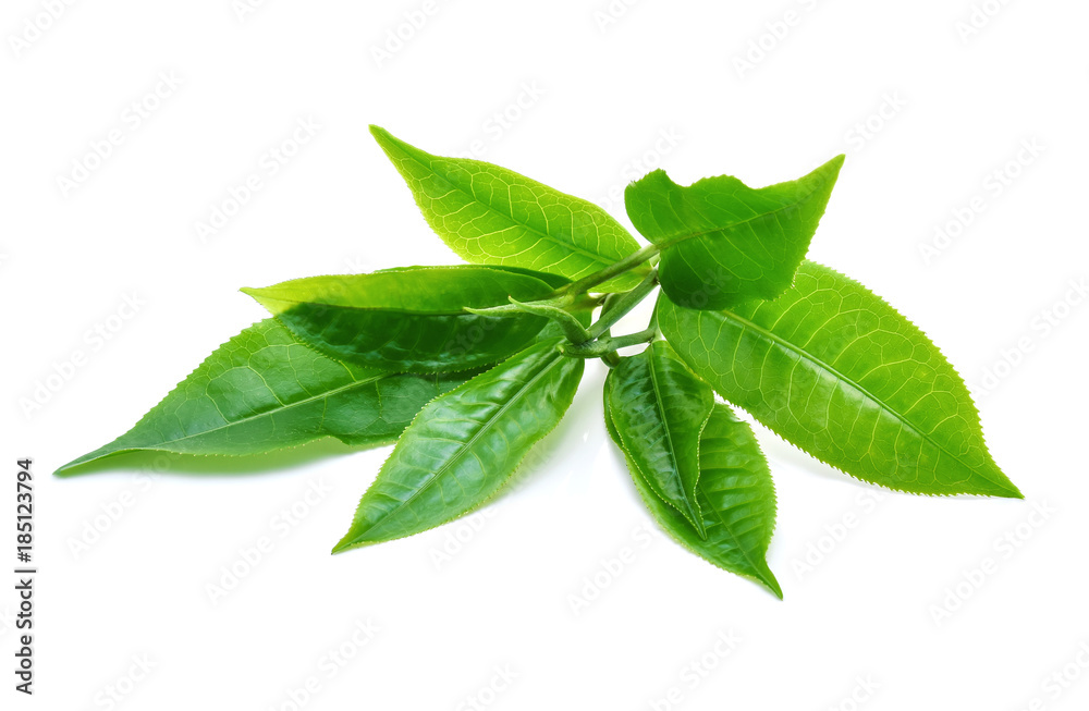 green tea leaf isolated on white background