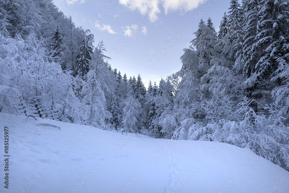 Fototapeta premium Landschaft im Kärnten