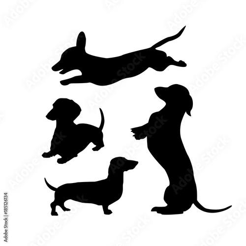 Black silhouettes of dachshunds dogs on a white background. Beautiful vector design.
