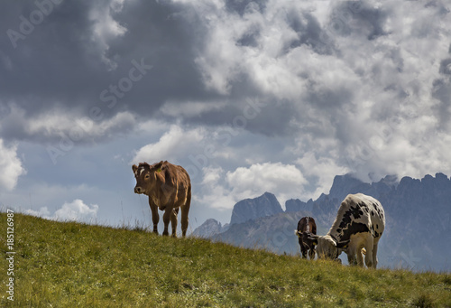 Landschaft in Südtirol photo