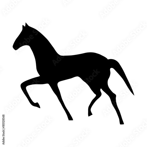 Vector illustration of horse silhouette. Template for you design  web and mobile applications.
