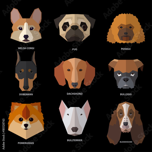 Dogs heads of different breeds. Template for style design.