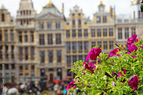 Grand Place in Brussels. Many tourists walk and look at beautiful buildings on the main square in Brussels. Flowers bloom on the Grand Place in Brussels.