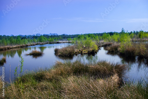 Moorlandschaft