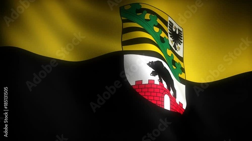 Flag of Saxony Anhalt (seamless)