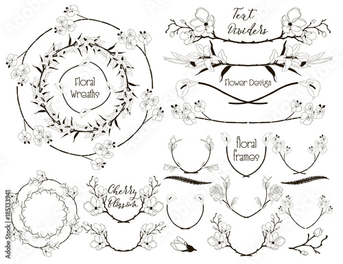 Big Collection of Floral Design Elements, Dividers, Frames