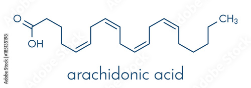 Arachidonic acid molecule. Polyunsaturated omega-6 fatty acid that is a precursor of prostaglandins, prostacyclin, thromboxanes, leukotrienes and anandamide. Skeletal formula. photo