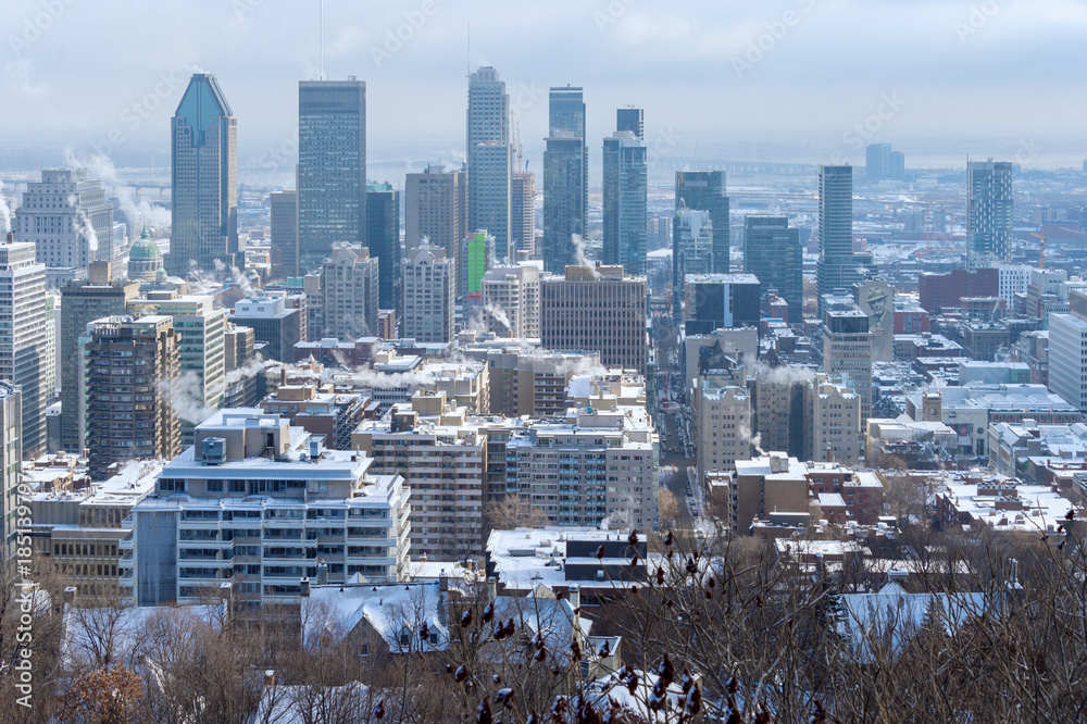 Montreal Skyline in winter