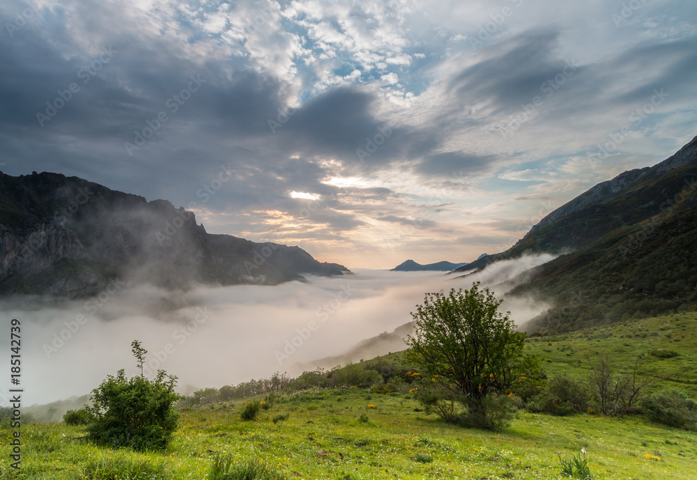 The fog advances through Saliencia Valley, Asturias