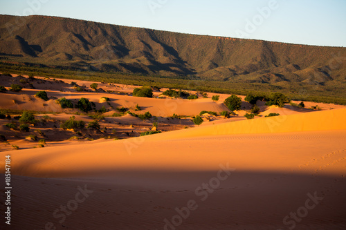 Fototapeta Naklejka Na Ścianę i Meble -  Jalapão Dunes Region in Tocantins - Brazil