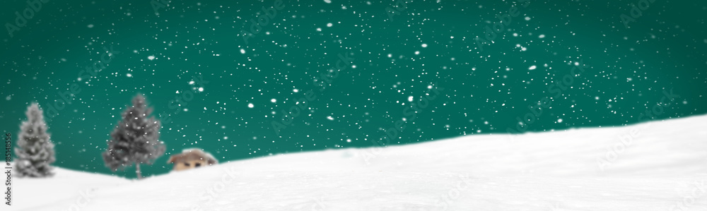 Fototapeta premium Winterlandschaft
