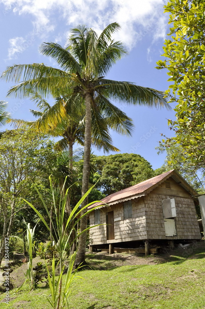 Saint Lucia Saint Lucia