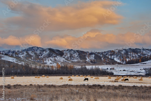 Russia. The South Of Western Siberia, Autumn in the Altai Mountains