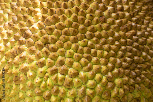 Jackfruit peel under the sunlight in the morning as use for background..