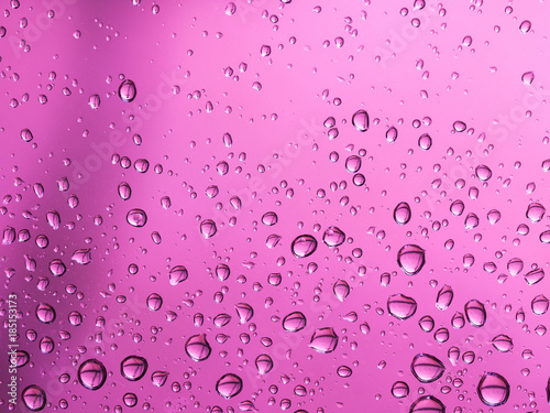 water drops on glass, a vivid image of rain drops on pink background, colorful background texture