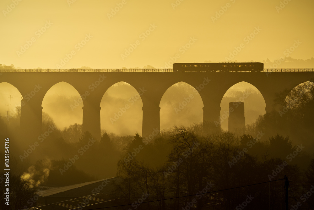 Fototapeta premium A Train passes over a cornish viaduct at sunrise, Moorswater, Liskeard, Cornwall, UK