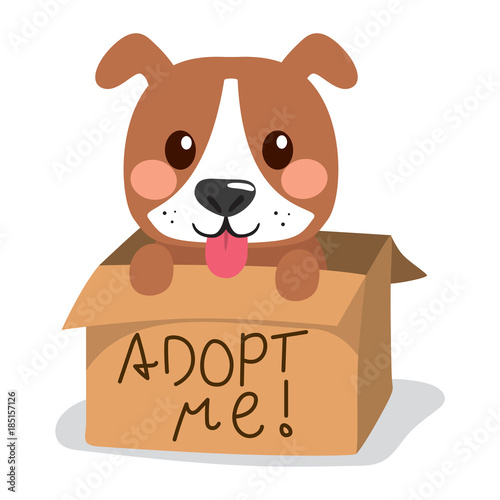 Cute little dog showing tongue inside cardboard box with adopt me text