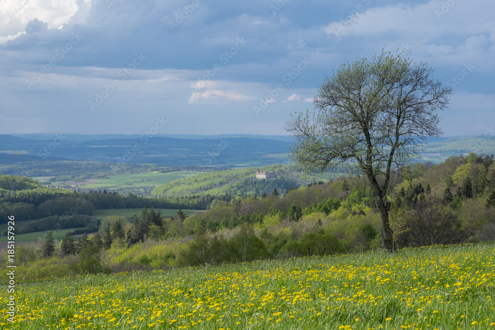 Frühling auf der Maulkuppe Frühling auf der Maulkuppe