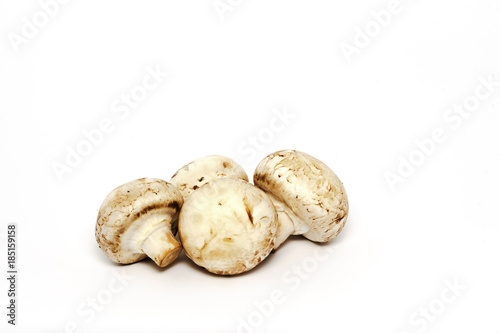 Mushrooms champignons isolated on white background. 