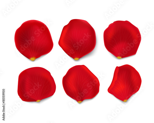 Set of bright red rose petals isolated on white background. Design elements for greeting cards, banners, background, flyers. Stock vector illustration.