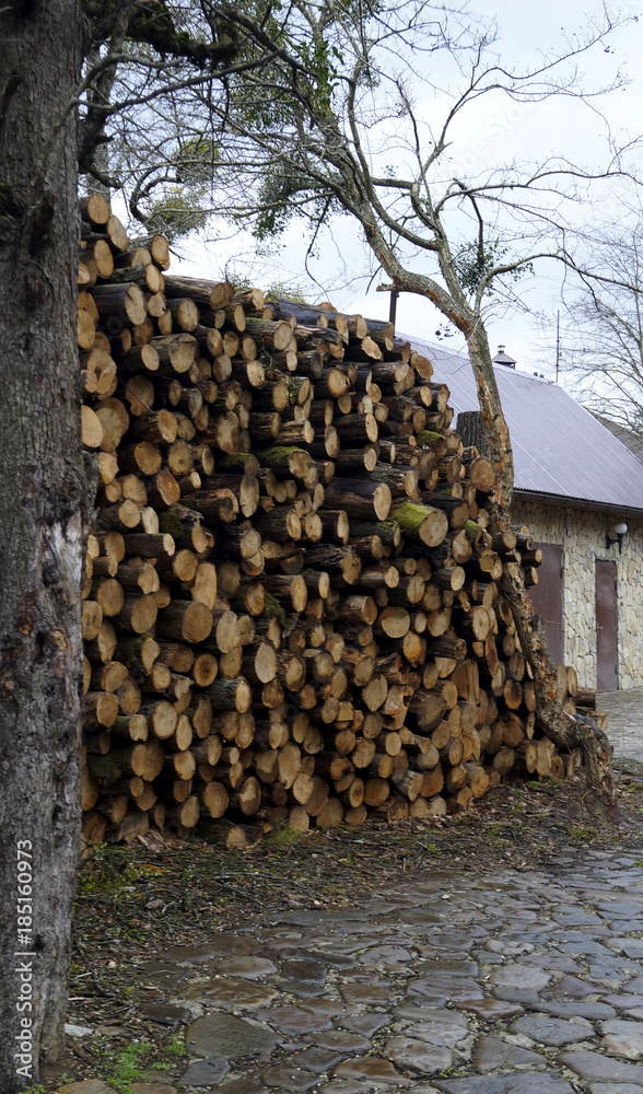  a lot of firewood is stacked near the house