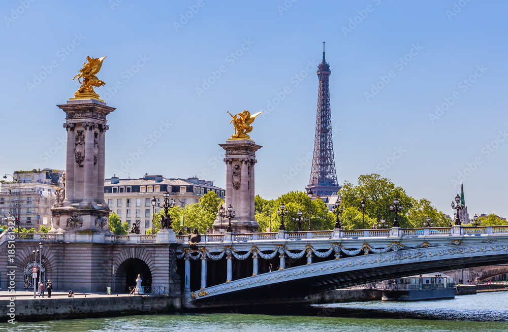 Alexander III Bridge across the Seine. Eiffel Tower.  Paris, France. View from the water