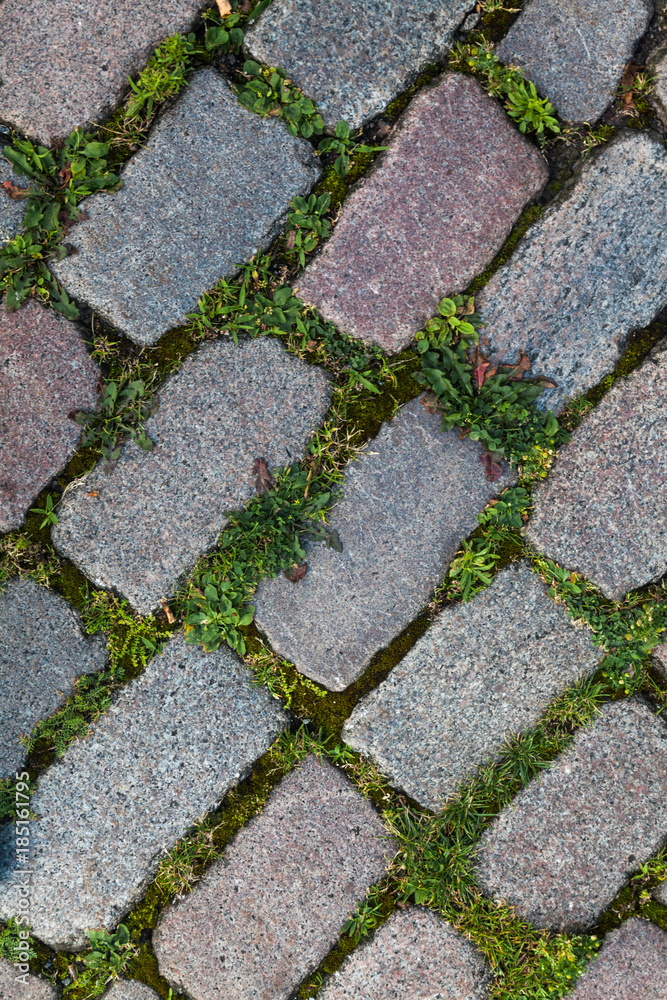 Obraz premium Kopfsteinpflaster