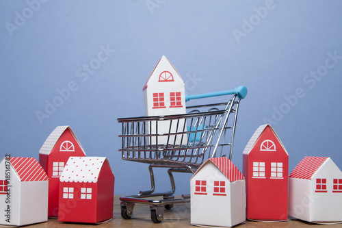 Schilderij op canvas Buying a house concept. Model home in a shopping cart