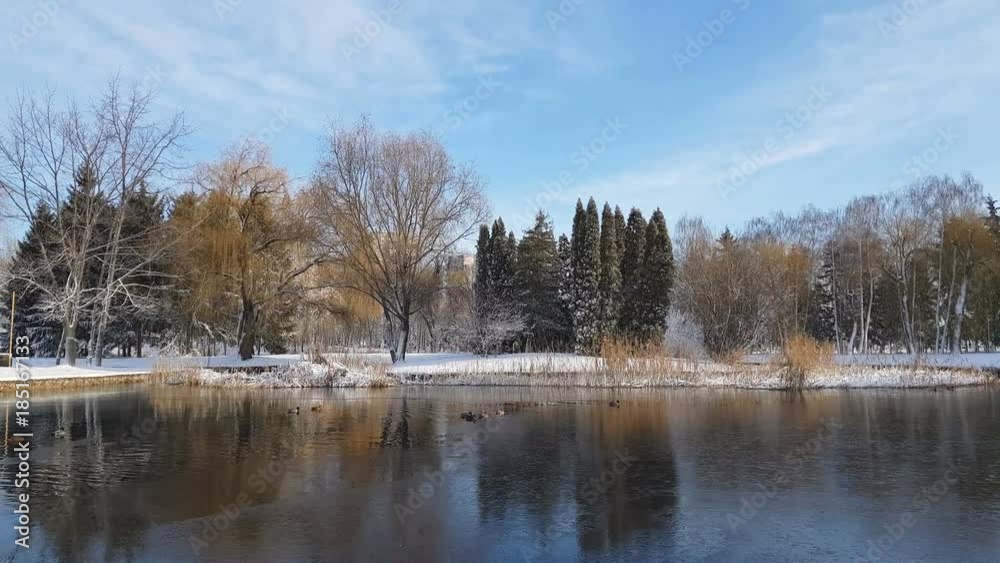First snow in the city park with ducks on an icy pond and a bench covered with snow First snow in the city park with ducks on an icy pond and a bench covered with snow