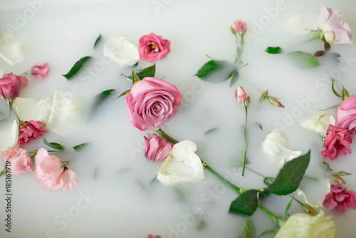 Milk in bath with roses photo