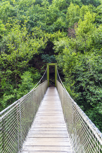 Suspension bridge of rope and wood on the river Eume in a very leafy forest. Zone very wooded and very green.