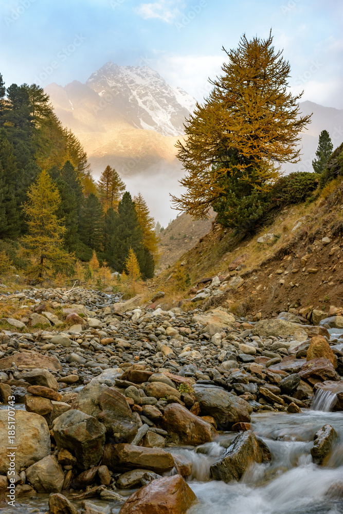 Sunrise on mountain with river and golden trees. Sunrise on mountain with river and golden trees.