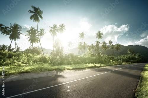 empty road in jungle of Seychelles islands