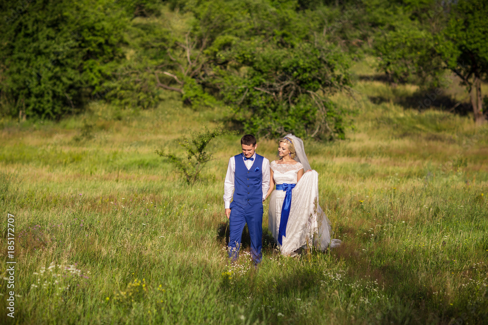 Wedding couple in love. Bride and groom holding hands and walk in park. Marriage concept Wedding couple in love. Bride and groom holding hands and walk in park. Marriage concept