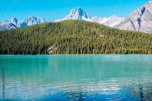 Icefield Parkway