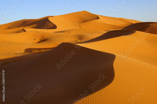 Fototapeta Naklejka Na Ścianę i Meble -  Sand dunes of Erg Chebbi in the Sahara Desert, Morocco
