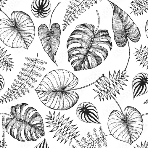 Tapety Wzór tropikalny liści palmowych. Wektorowi ilustracyjni liście palma. Wzór dżungli. Wydrukuj na szablonie tkaniny.