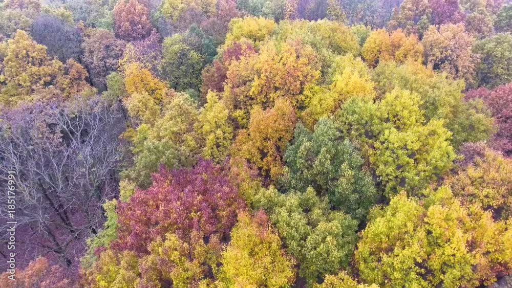flight over autumn park flight over autumn park