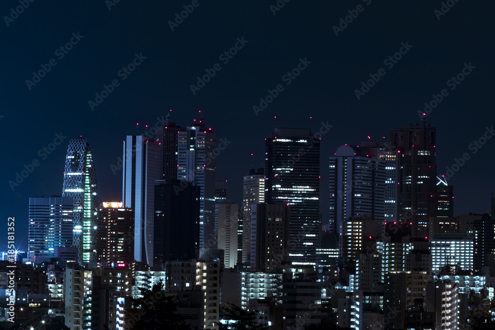 Fototapeta premium shinjuku