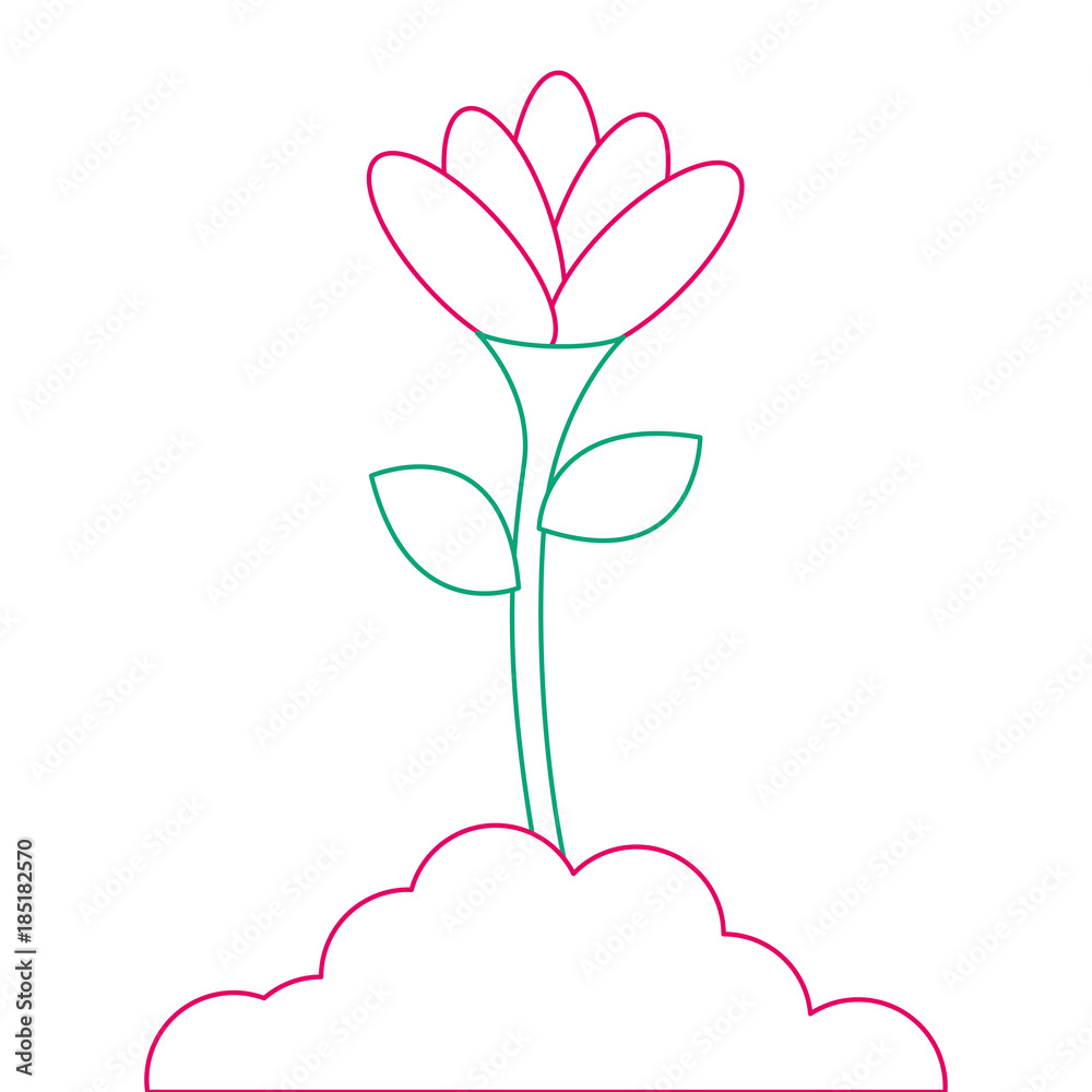beautiful flower in grown vector illustration design beautiful flower in grown vector illustration design