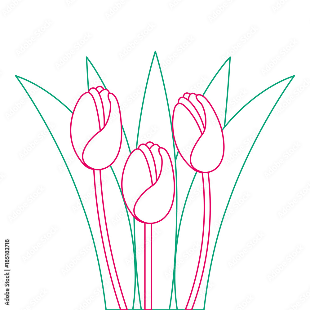 Fototapeta premium beautiful roses cultivated icon vector illustration design