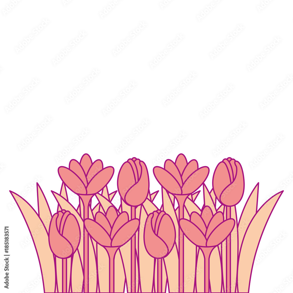 beautiful flowers cultivated icon vector illustration design beautiful flowers cultivated icon vector illustration design