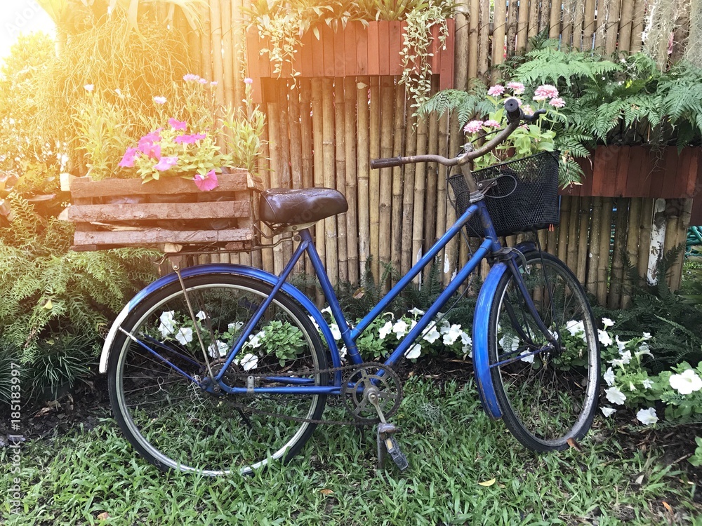 Blue bicycle and beautiful flowers in garden with light effect