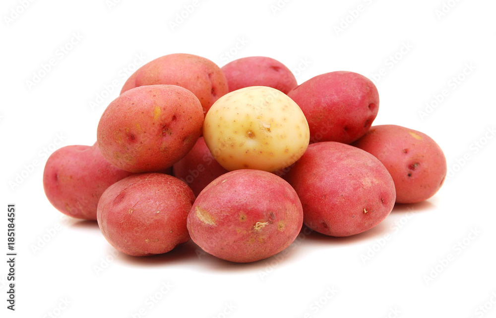 Red and white Potatoes with white background Red and white Potatoes with white background