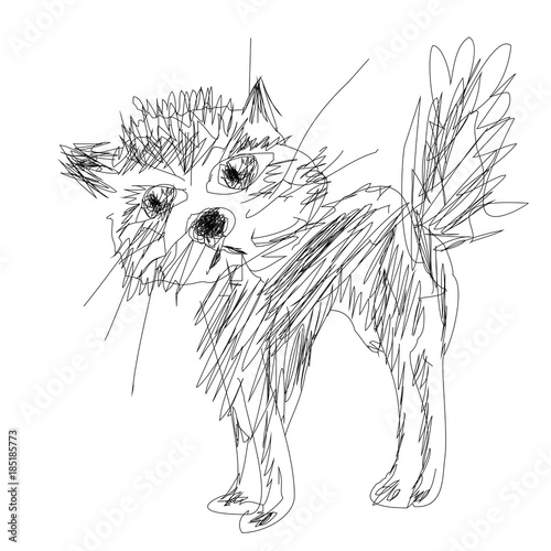 cat on white background 