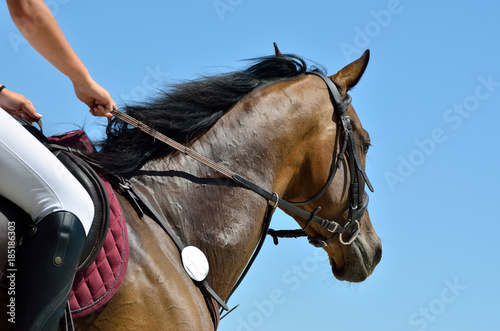 Rider on horseback against the blue sky